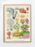 raw wood frame Great Barrier Reef vintage print wall art